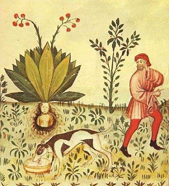 ..jpg