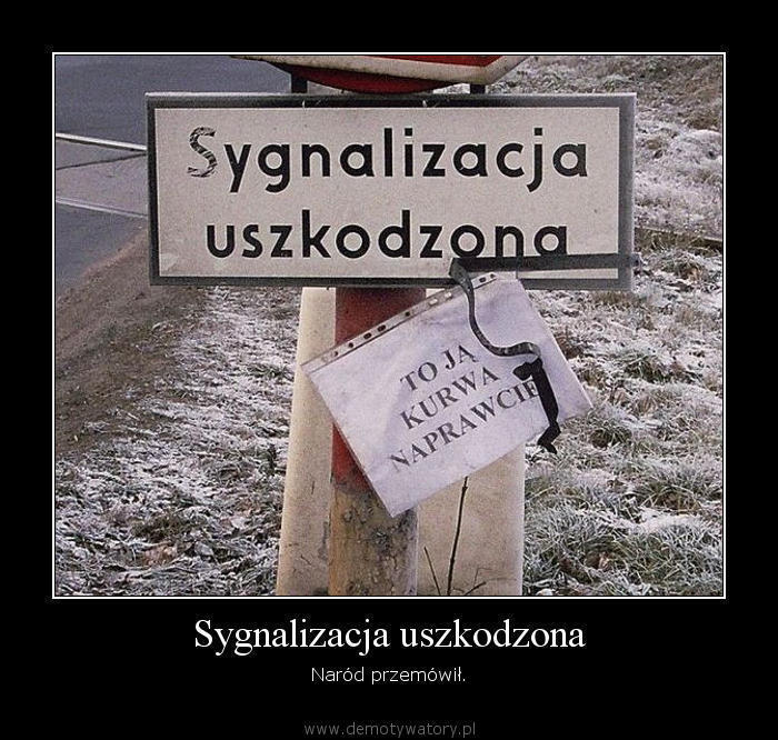 876.jpg