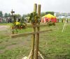 tatow_06_04.jpg