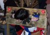 wosp06-05.jpg